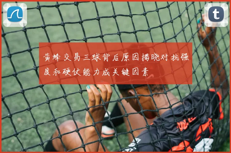 黄蜂交易三球背后原因揭晓对抗强度和硬仗能力成关键因素