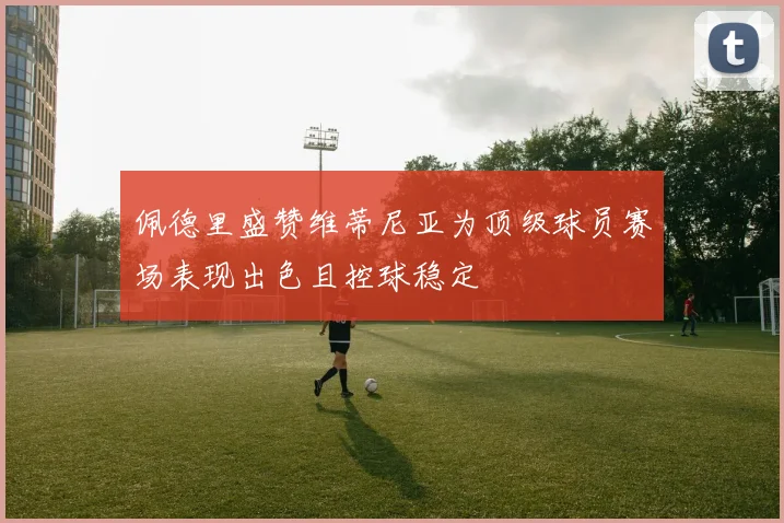 佩德里盛赞维蒂尼亚为顶级球员赛场表现出色且控球稳定