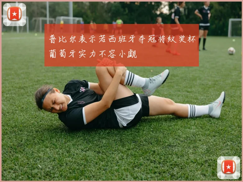 普比尔表示若西班牙夺冠将纹奖杯葡萄牙实力不容小觑